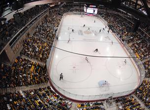 University of Minnesota Duluth Bulldogs Mens Hockey