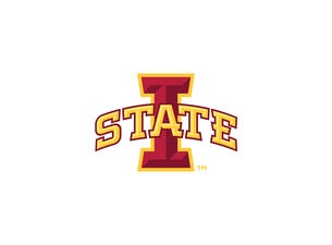 Iowa State Cyclones Gymnastics