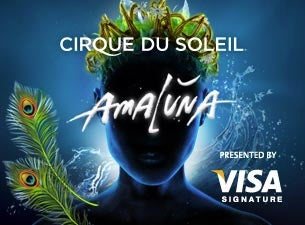 Cirque Du Soleil: Amaluna