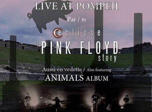 The Pink Floyd Story