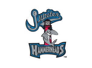 Jupiter Hammerheads