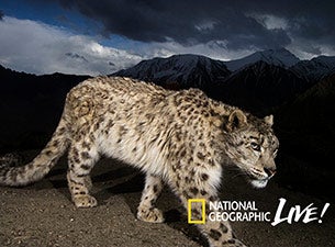 National Geographic Live - On The Trail of Big Cats in Vancouver promo photo for Special  presale offer code