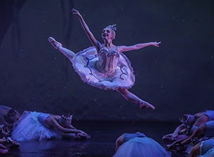 AMERICA&#039;S BALLET SCHOOL: The Nutcracker presale information on freepresalepasswords.com