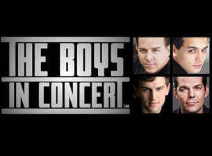 The Boys In Concert