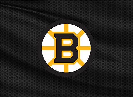Boston Bruins