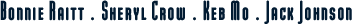 Bonnie Raitt, Sheryl Crow, Keb' Mo', Jack Johnson