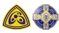 Laois Hire O'Moore Park